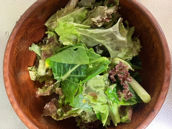 青菜をたくさんとろう