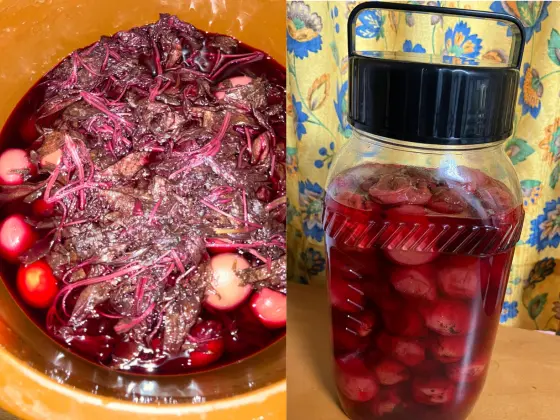 長期熟成梅干し