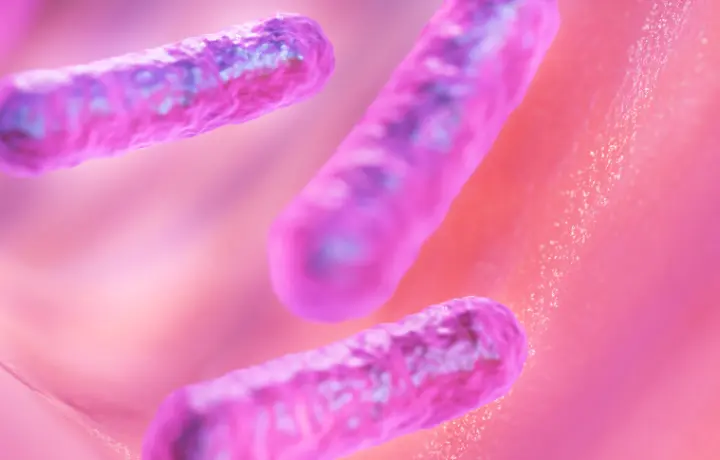 常在菌と共に生きる